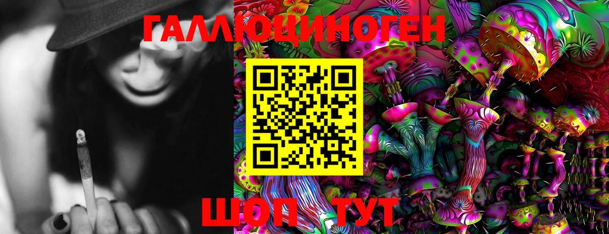 Галлюциногенные грибы Psilocybine cubensis Шебекино